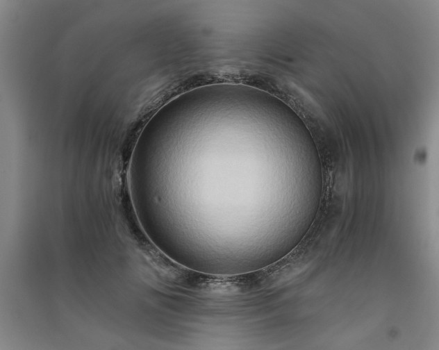 X0000091360702200708171524