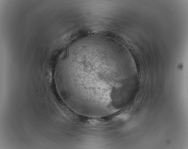 X0000091360703200708171524