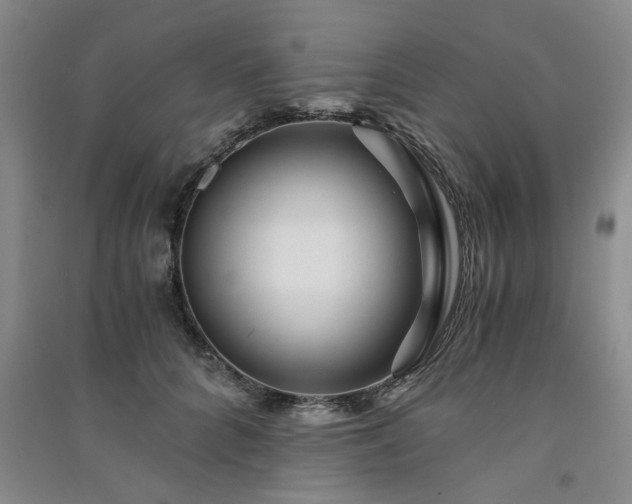 X0000091360704200708171524