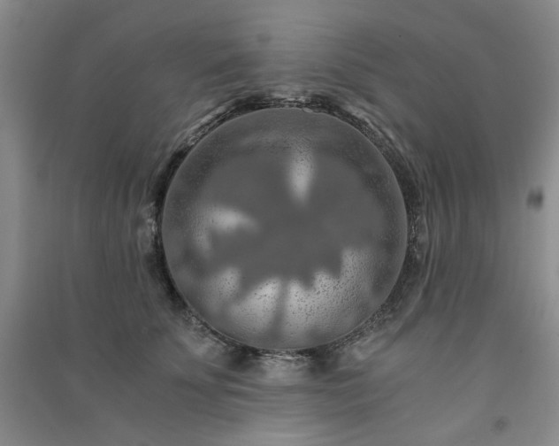 X0000091360707200708171524
