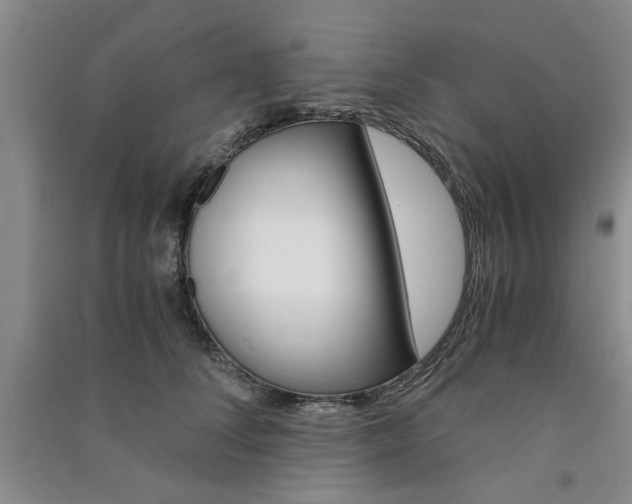 X0000091360708200708171524
