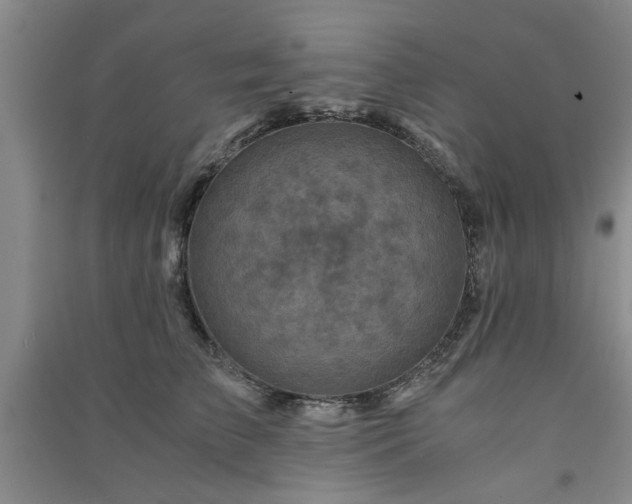 X0000091360709200708171524