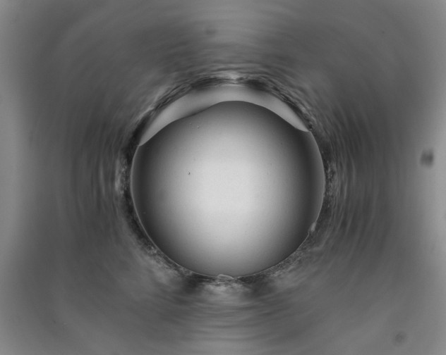 X0000091360712200708171524