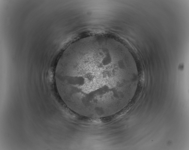 X0000091360715200708171524