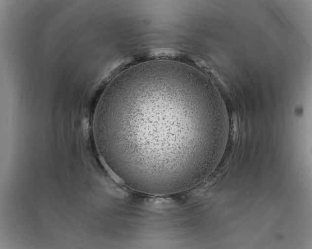 X0000091360716200708171524