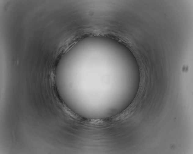X0000091360720200708171524