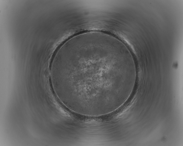X0000091360721200708171523