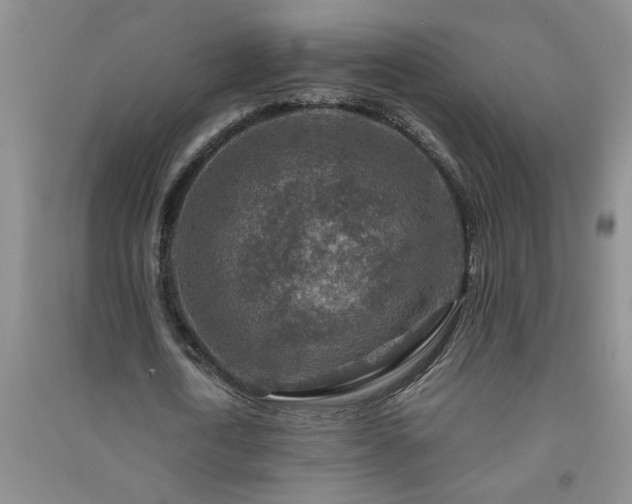 X0000091360722200708171523
