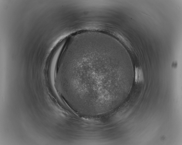 X0000091360723200708171523