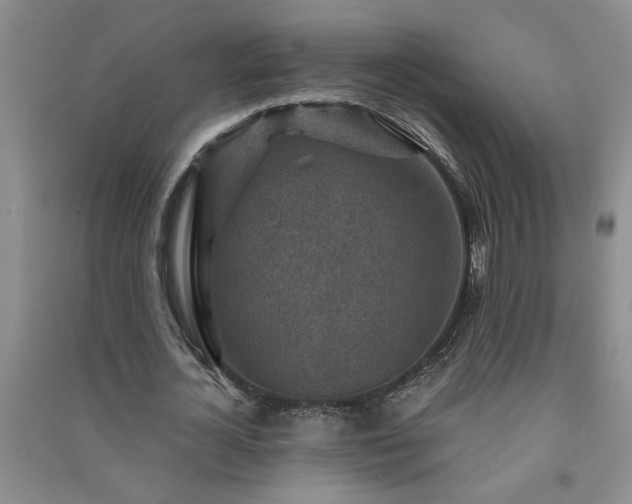 X0000091360724200708171523