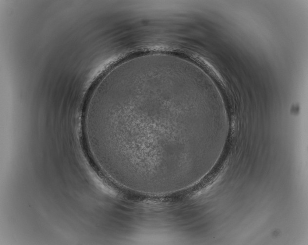 X0000091360725200708171523