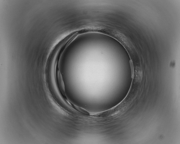 X0000091360726200708171523