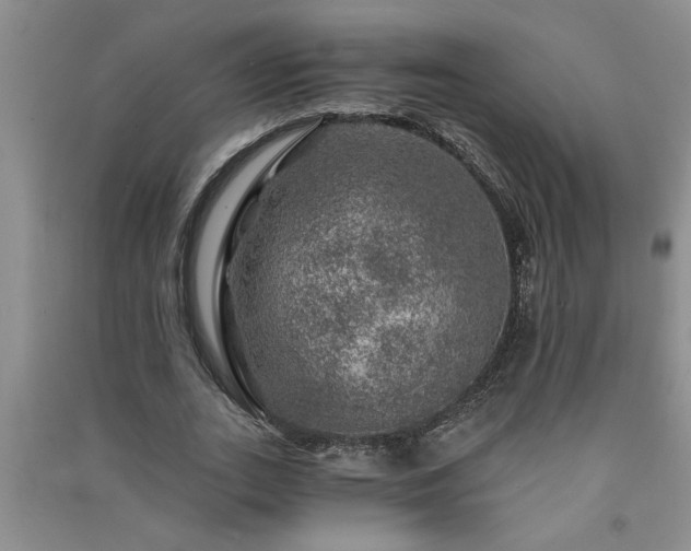 X0000091360727200708171523