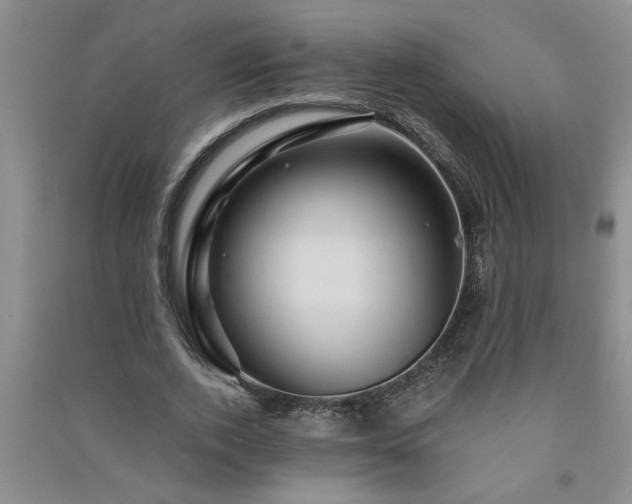 X0000091360728200708171523