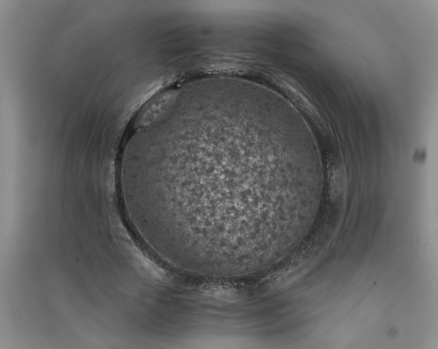 X0000091360729200708171523