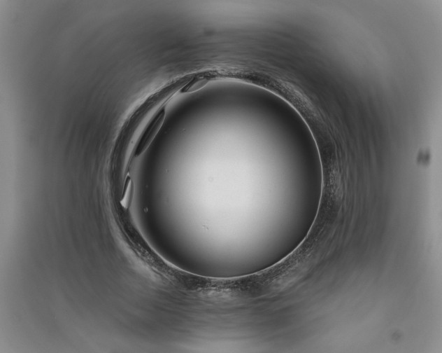 X0000091360730200708171523