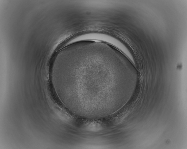 X0000091360731200708171523