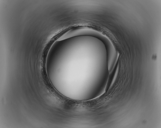 X0000091360732200708171523