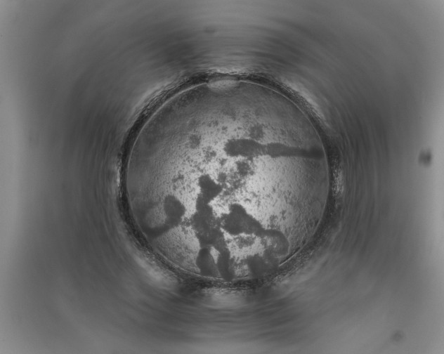X0000091360733200708171523