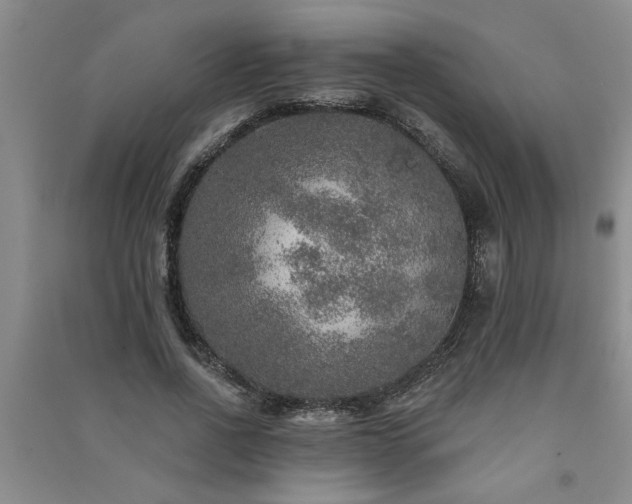 X0000091360734200708171523