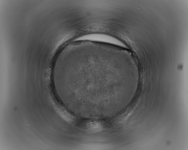 X0000091360735200708171523