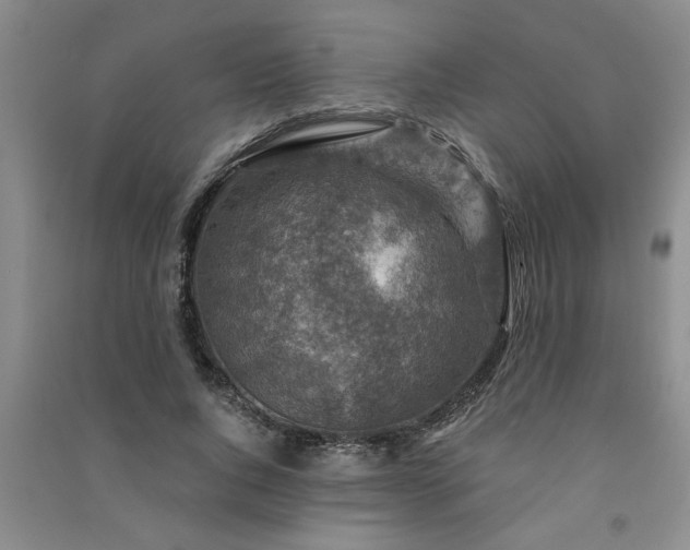 X0000091360736200708171523