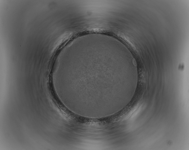 X0000091360738200708171523