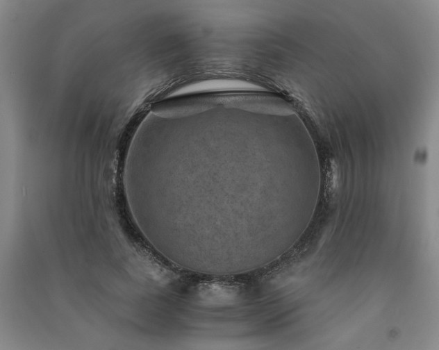 X0000091360739200708171523