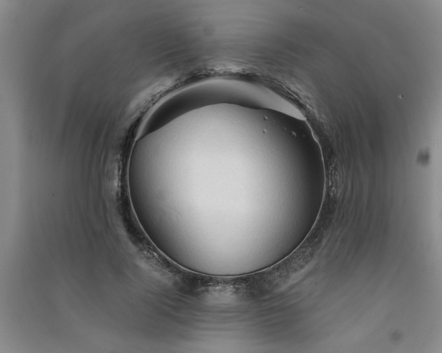 X0000091360740200708171523