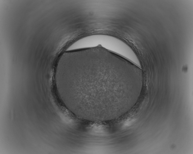 X0000091360742200708171523