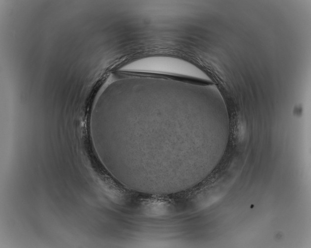 X0000091360743200708171523