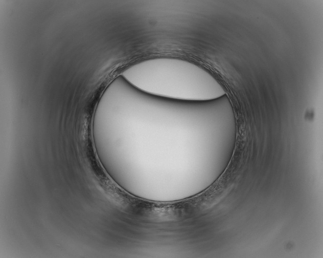 X0000091360744200708171523