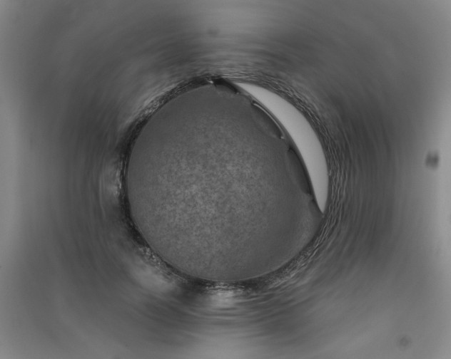 X0000091360746200708171523