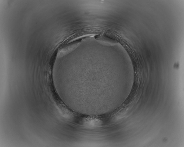X0000091360747200708171523