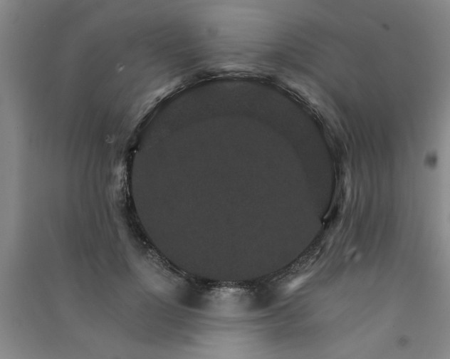 X0000091360748200708171523