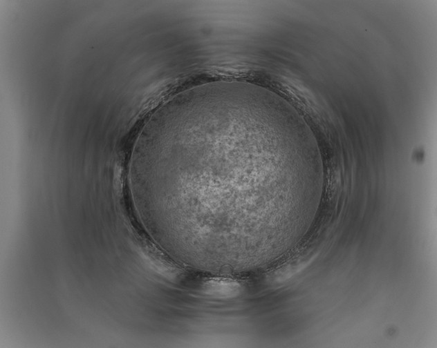 X0000091360749200708171523