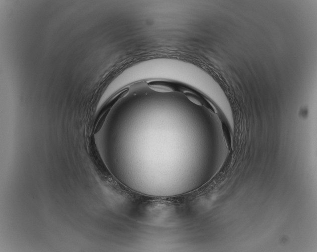 X0000091360750200708171523