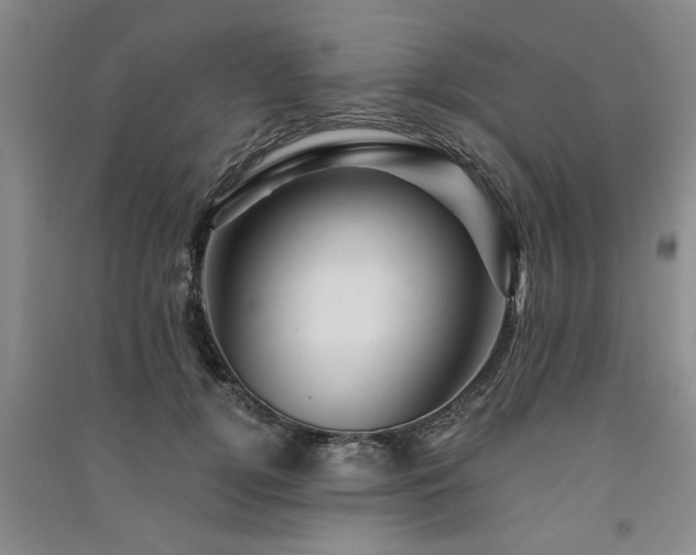 X0000091360752200708171523