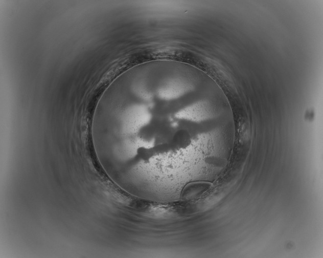 X0000091360753200708171523