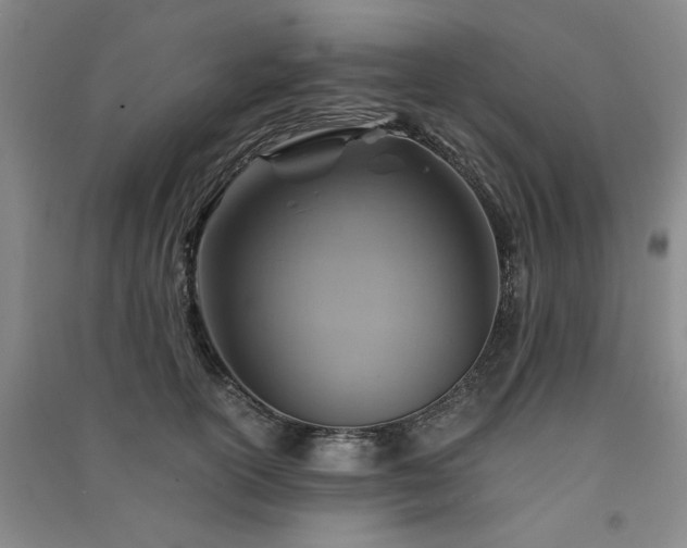 X0000091360754200708171523