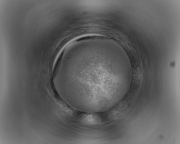 X0000091360755200708171523