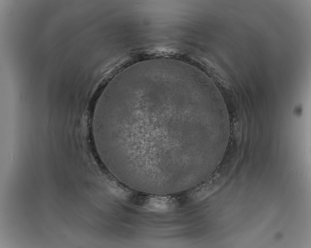X0000091360757200708171523
