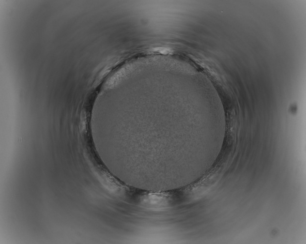 X0000091360758200708171523