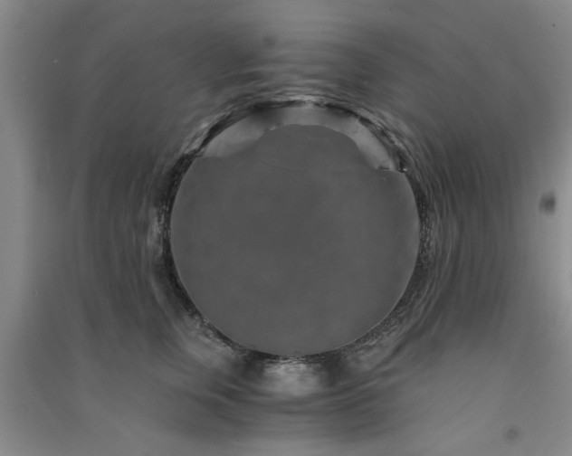 X0000091360759200708171523