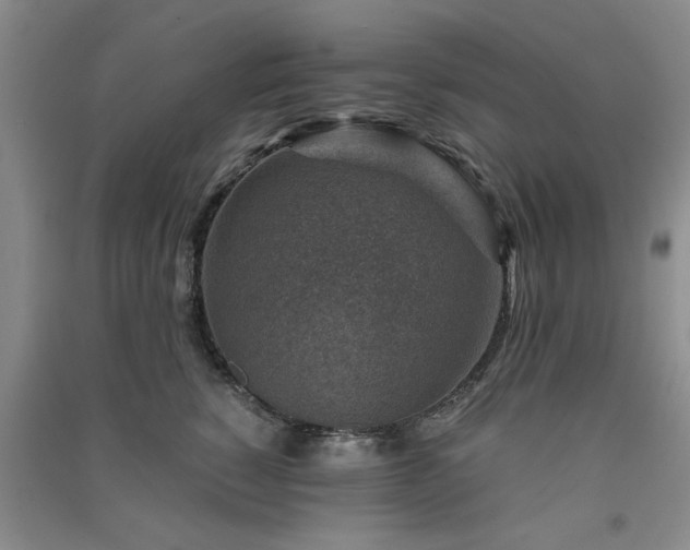 X0000091360760200708171523