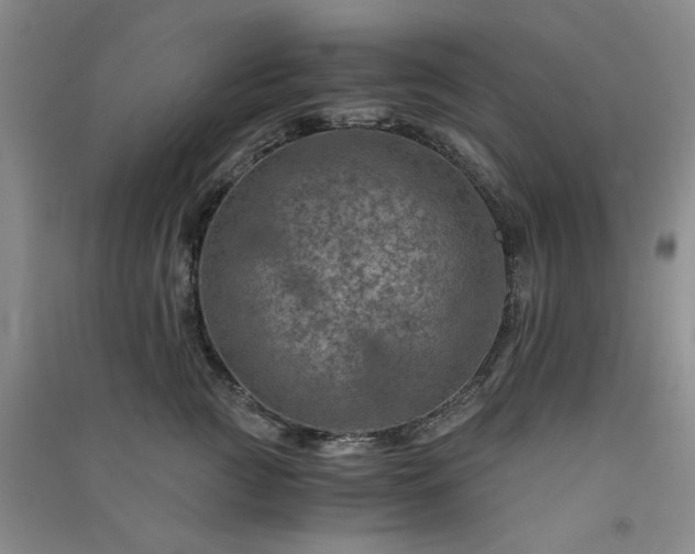 X0000091360761200708171523