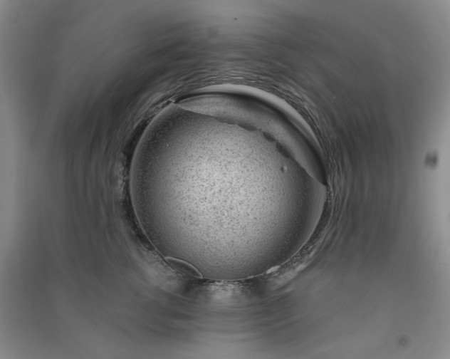 X0000091360762200708171523