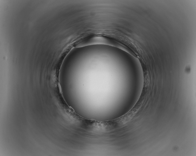 X0000091360764200708171523