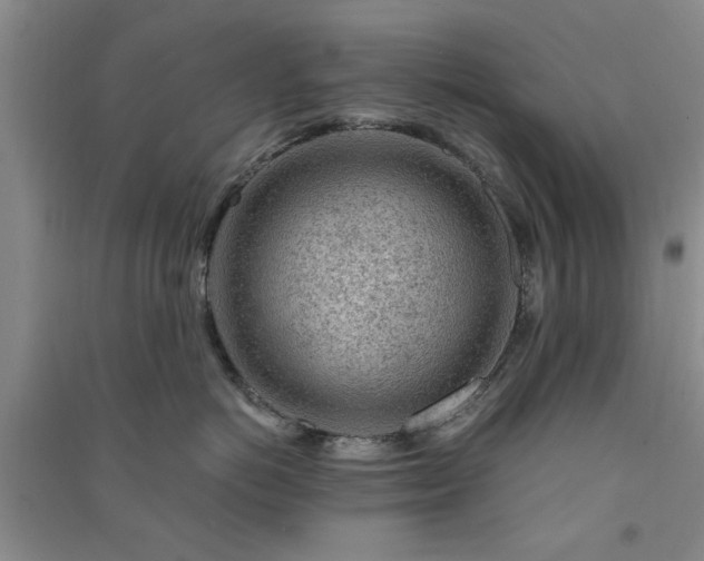 X0000091360766200708171523
