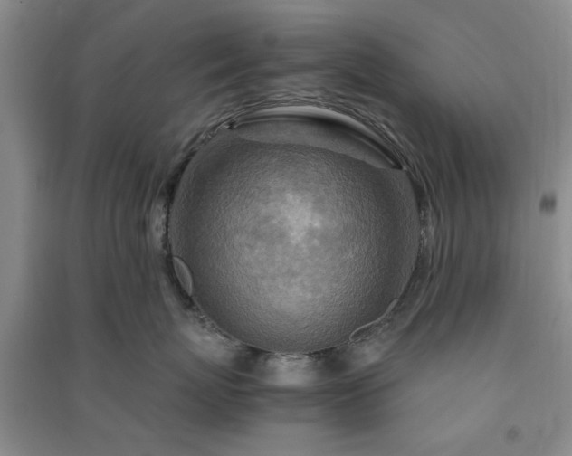 X0000091360767200708171523